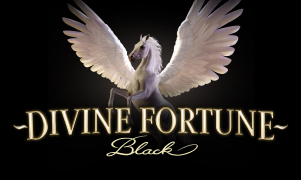 Divine Fortune Black